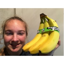 FAIRTRADE BANANAS Bunch of 5 from Ecuador